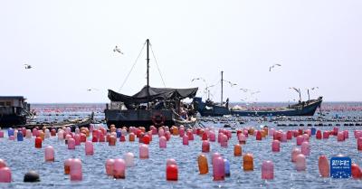 海洋牧场新牧歌 “蓝色粮仓”孕生机