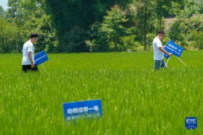 从实验室到田野，用科技追逐梦想