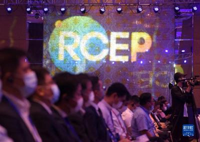 2022年RCEP经贸合作高层论坛在青岛开幕