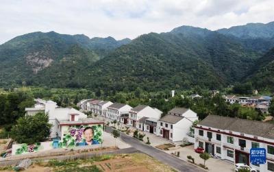 “美好乡村计划”用艺术改造乡村