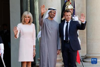法国和阿联酋领导人讨论能源领域合作