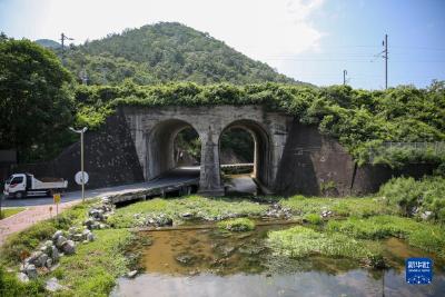 探访“老根里事件”发生地