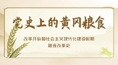 【党史上的黄冈粮食之十一】天工人巧日争新