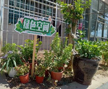 黄州长圻蓼社区：“绿色空间”就在家门口