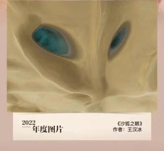 奇观！这张“狐狸脸”太震撼