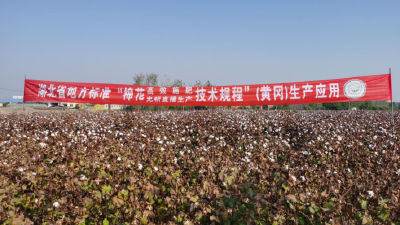 湖北省地方标准《棉花高效施肥技术规程》生产应用效果现场评鉴在黄冈举行