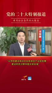 【党的二十大特别报道】黄冈市文化和旅游局党组书记 局长 涂宝峰：以项目建设带动文化旅游全产业链发展 建设好武汉都市圈文旅名城