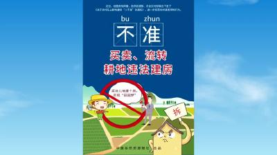 黄州新闻20221124