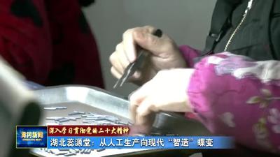 《深入学习贯彻党的二十大精神》 湖北蕊源堂：从人工生产向现代“智造”蝶变