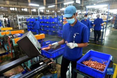 助力周边繁荣 带动当地就业——走进泰中罗勇工业园