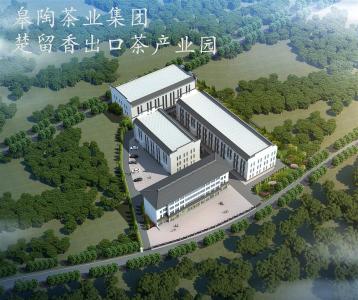 皋陶集团打造黄冈首家出口茶产业园