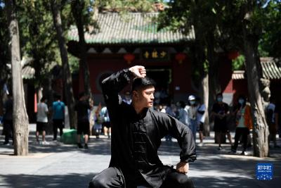 天下武林看中原