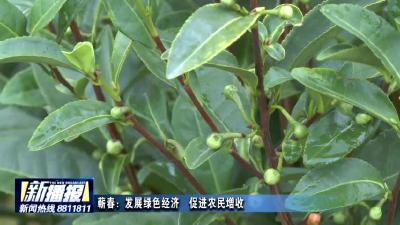 蕲春：发展绿色经济 促进农民增收
