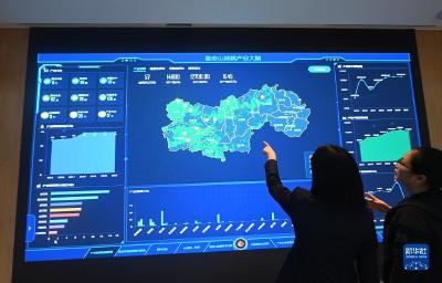 杭州临安：坚果炒货产业提档升级助推经济高质量发展