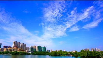 新播报20221124
