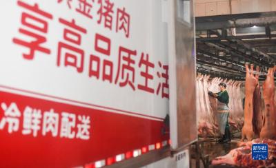 重庆：优化生猪屠宰产能 提高猪肉保供能力