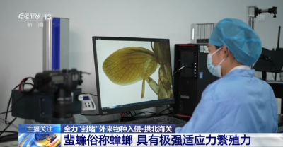 海关截获全球新物种！