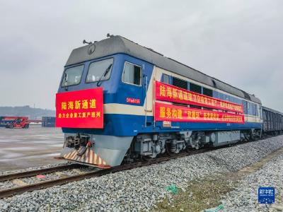 重庆：西部陆海新通道助力企业复工复产班列发运