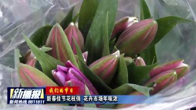 《我们的节日》新春佳节花枝俏  花卉市场年味浓