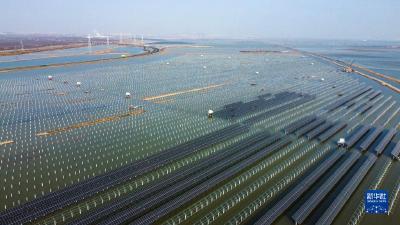 “忙碌劲儿”里看发展——天津全力推进重点项目建设