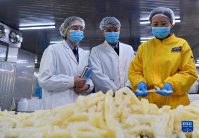 福州：税收精准帮扶 助力企业“开门红”