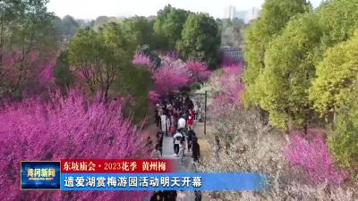 《东坡庙会 2023花季 黄州梅》遗爱湖赏梅游园活动明天开幕