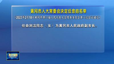 黄冈市人大常委会决定任命的名单