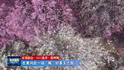 《东坡庙会. 2023花季.黄州梅》在黄冈赴一场“梅”好春天之旅