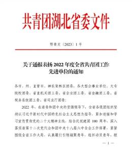 喜讯！长江职业学院团委荣获“2022年度全省高校共青团工作优秀单位”