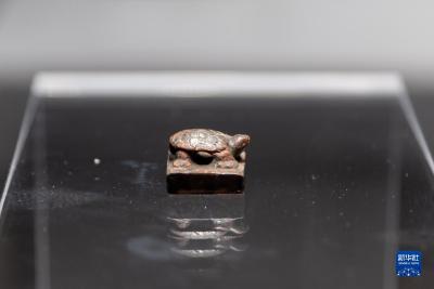 新华全媒+丨138件（组）精美展品在上海亮相 马王堆文物展重现西汉生活画卷