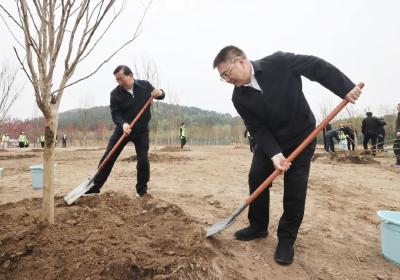 王蒙徽王忠林等省领导参加义务植树活动