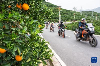 特色旅游助力乡村振兴