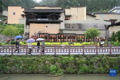 传统村落的“醉美味道”
