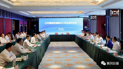 黄冈超宽幅偏光片项目签约！