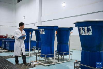 广西大藤峡水利枢纽科研团队助力保护珠江流域水生生物多样性