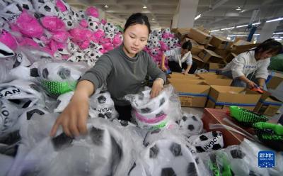 贵州施秉：解难纾困助力县域经济高质量发展