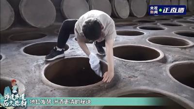 让抗生素发酵产能提升15% 宜昌“AI+生物制造”成为全国典型
