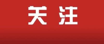 在新时代新征程上彰显组织担当——党的十八大以来党的组织工作综述