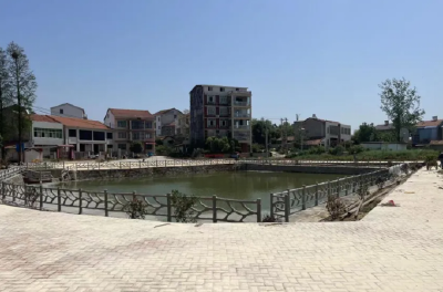 黄州区路口社区：“臭水塘”变身“生态塘”
