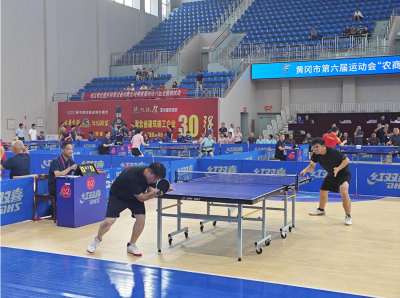 黄冈市第六届运动会群众体育类乒乓球比赛圆满落幕
