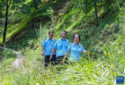 跨省联防联治推动清凉峰生态保护