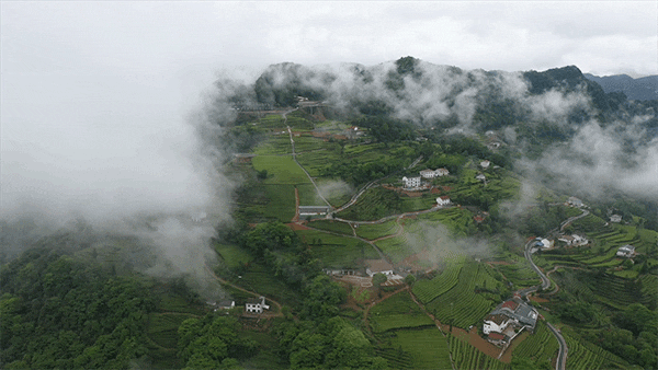 湖北三地入选世界自然保护联盟绿色名录