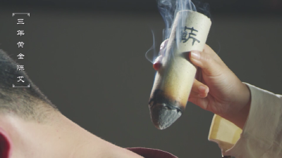 湖北专题培训省级蕲艾产业人才