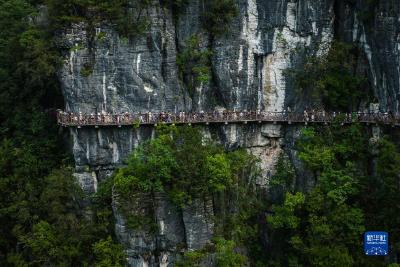 湖北建始：暑期“清凉经济”催热文旅消费