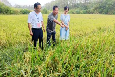 浠水县靠前监督破解不动产“登记难”