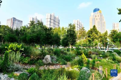 山东德州：低碳循环助力生态园林城市建设