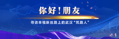 幸福新丝路 武汉“筑路人”丨贝尔格莱德有了“中国高速”