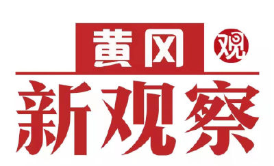 【黄冈新观察】黄州：乡村振兴“新”面貌  “小”萝卜促进“大”增收