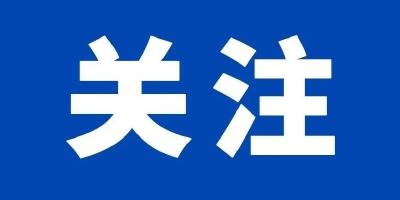 年轻人三大“脆皮”症状：记忆力下降、情绪差、免疫力下降