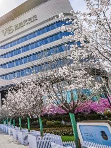 从“烟火味”到“赛博感” 外国游客热衷打卡武汉“新三样”